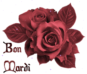 Gif animé Bon mardi rose rouge